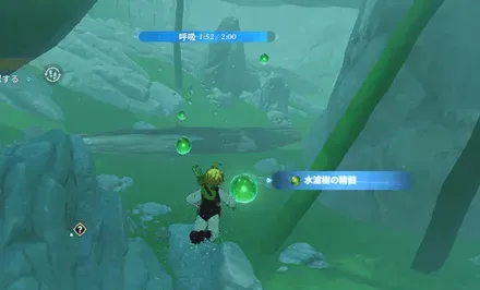 水濾樹の精髄_見た目