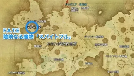 黒衣森：中央森林・風天1