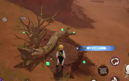 鎧サボテンの精髄_見た目