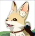 懐いたフェネックの画像