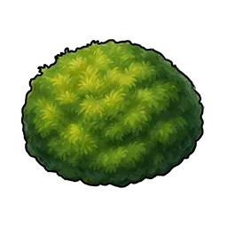 食用苔画像