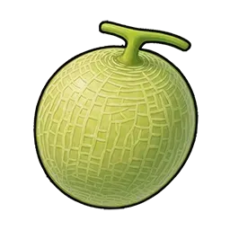メロン画像