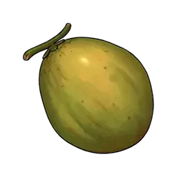 ヤシの実画像