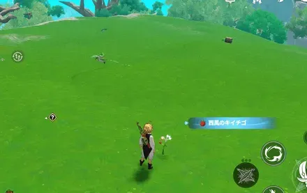 西風のキイチゴ_見た目