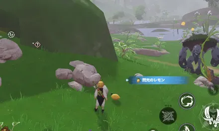 閃光のレモン_見た目