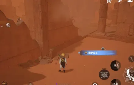 岩クルミ_見た目