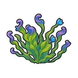 酸素水草画像