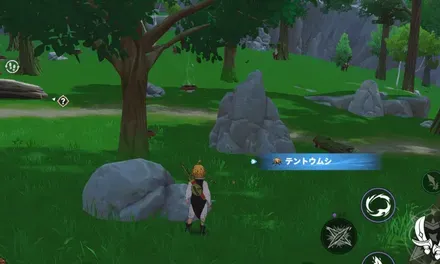 テントウムシ_見た目