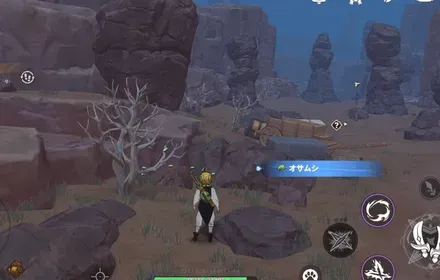 オサムシ_見た目