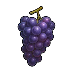 ブドウ画像