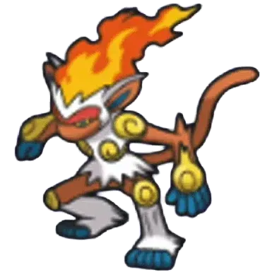 ゴウカザル画像