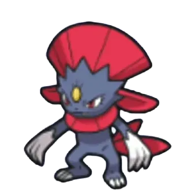 マニューラ画像