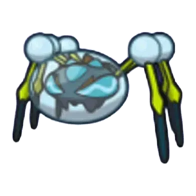 オニシズクモ画像