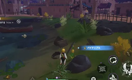 パイナップル_見た目