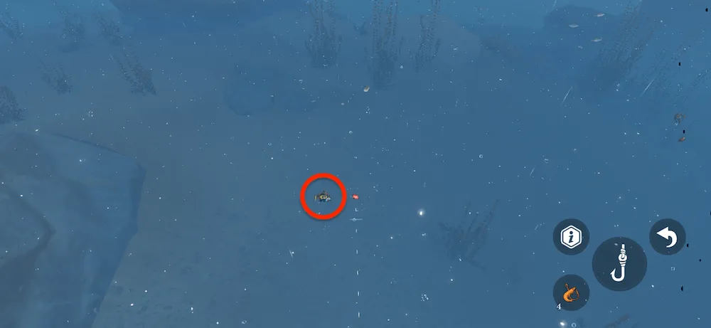 トゲボラの魚影