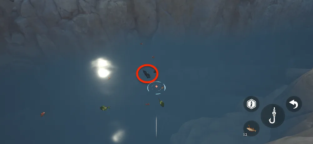 夜光アロワナの魚影