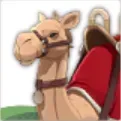 砂漠の船キャメルの画像