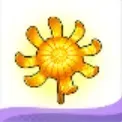太陽草画像