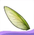 煌めく昆虫の羽画像