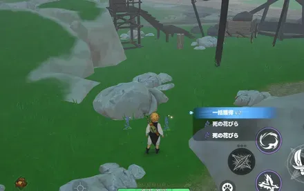 死の花びら_見た目