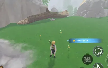 ハチジョウナ_見た目