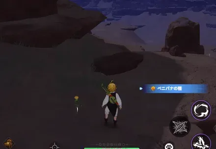 ベニバナの種_見た目