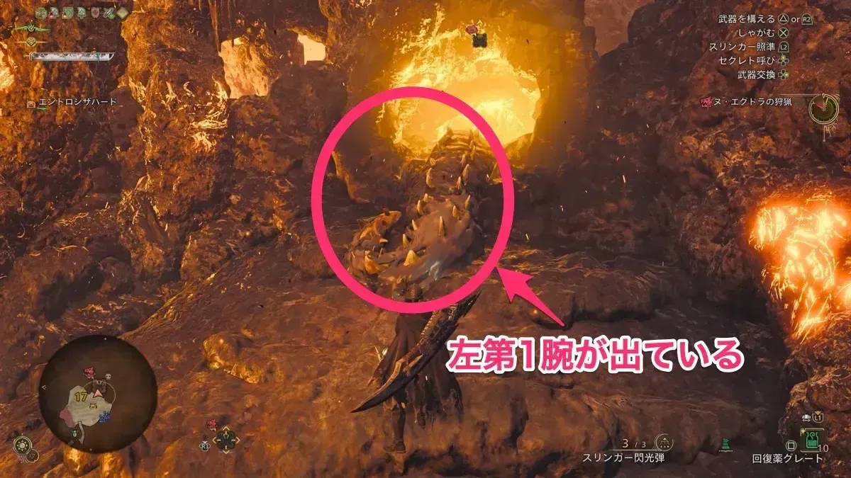ヌエグドラ_睡眠中