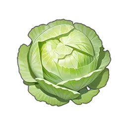 キャベツ画像
