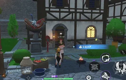 リオネス食材商人_見た目