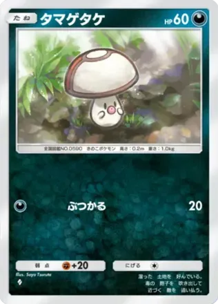 タマゲタケ