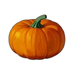 カボチャ画像