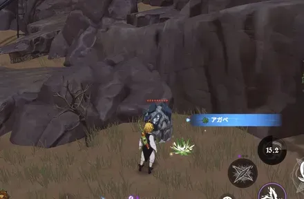 アガベ_見た目