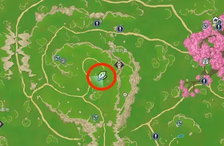 マッシュルーム_場所