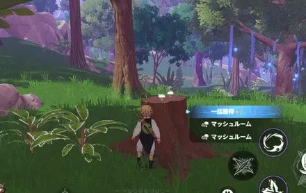 マッシュルーム_見た目