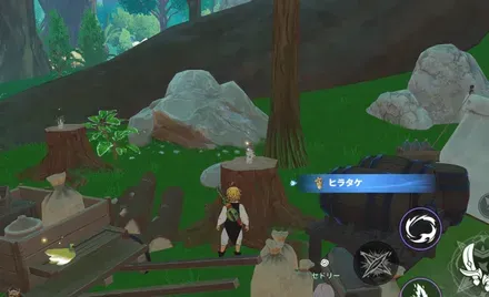 ヒラタケ_見た目