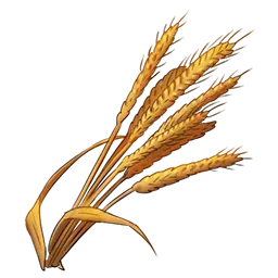 小麦画像