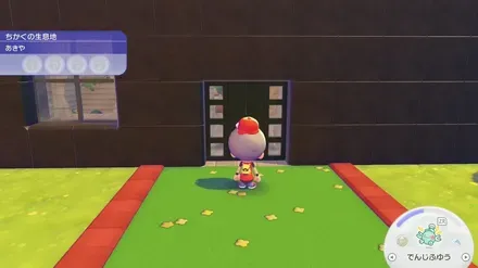 アーケードゲームマシンがある家