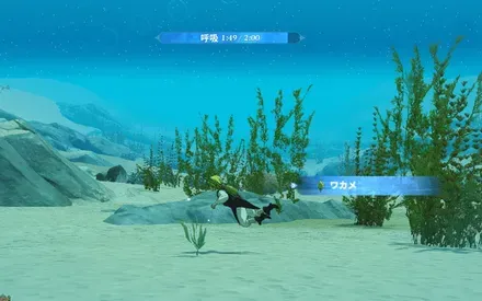 ワカメ_見た目