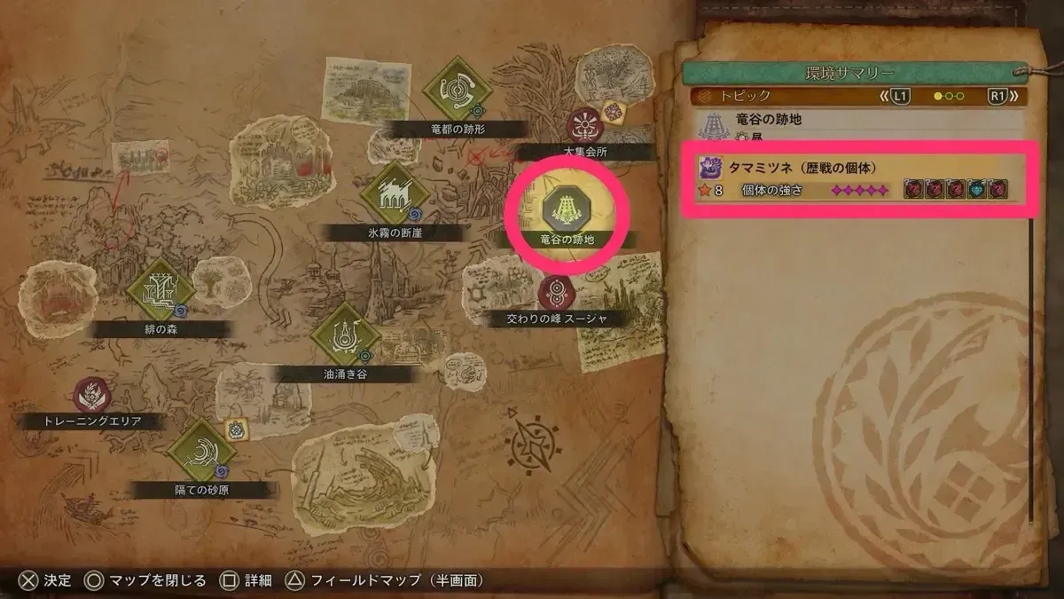 竜谷の跡地_タマミツネ