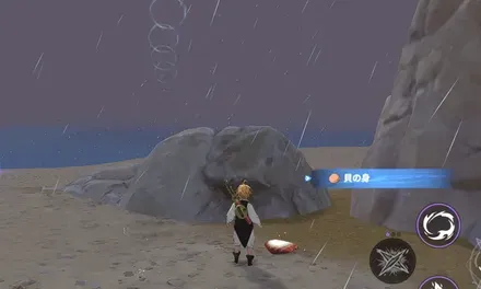 貝の身_見た目