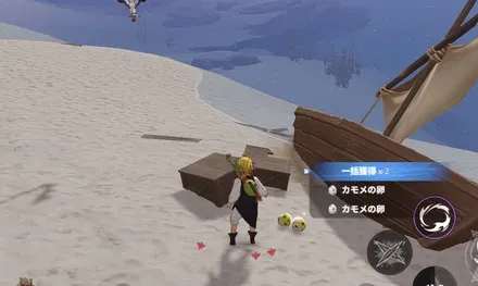 カモメの卵_見た目