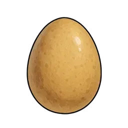 ハトの卵画像