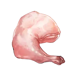 トリ肉画像
