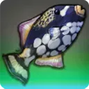豊漁の絹