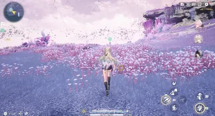 パーフェクトフライングデーの場所