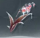 赤いスズラン画像