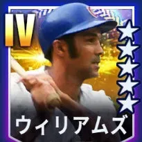 ウィリアムズ画像