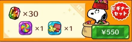 ビギナーセット