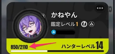 ハンターレベル上げ