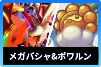 メガバシャーモex＆ポワルンデッキ